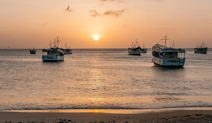 Photo of fishing boats on a bay at sunset